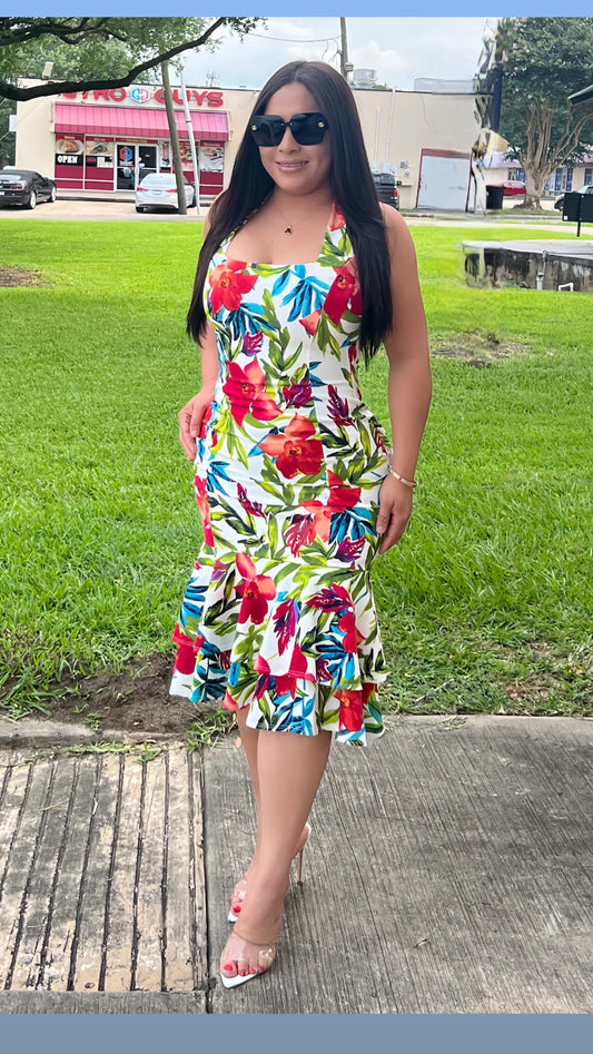 Hawai Dress